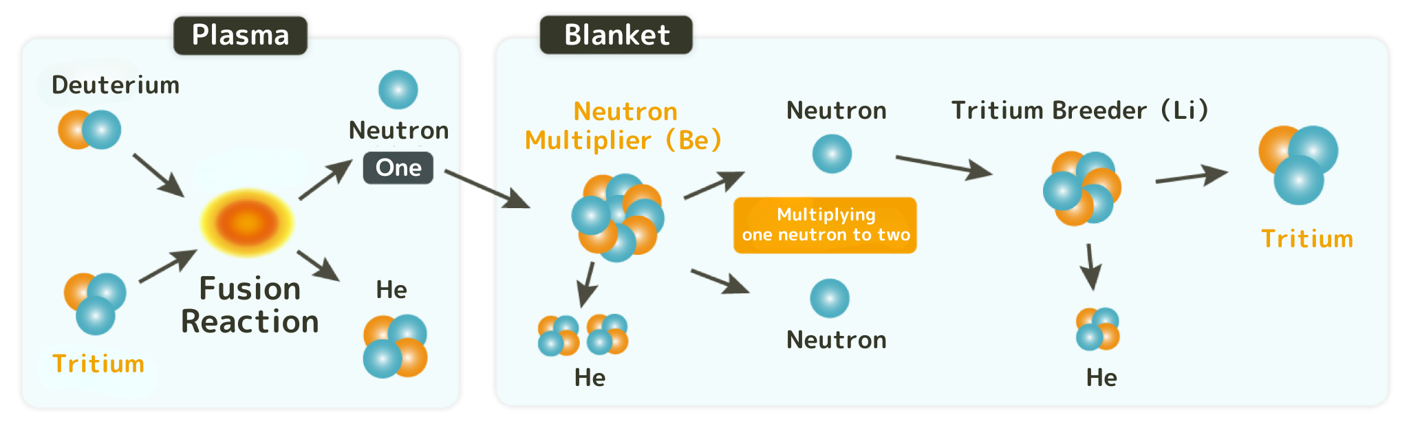Fusion reactions are caused by ultrafast collisions of deuterium and tritium in plasma. However, tritium is rarely found naturally thus it have to be self-generated in the blanket.<br />
This requires beryllium (neutron multiplier), which doubles the number of neutrons to two.