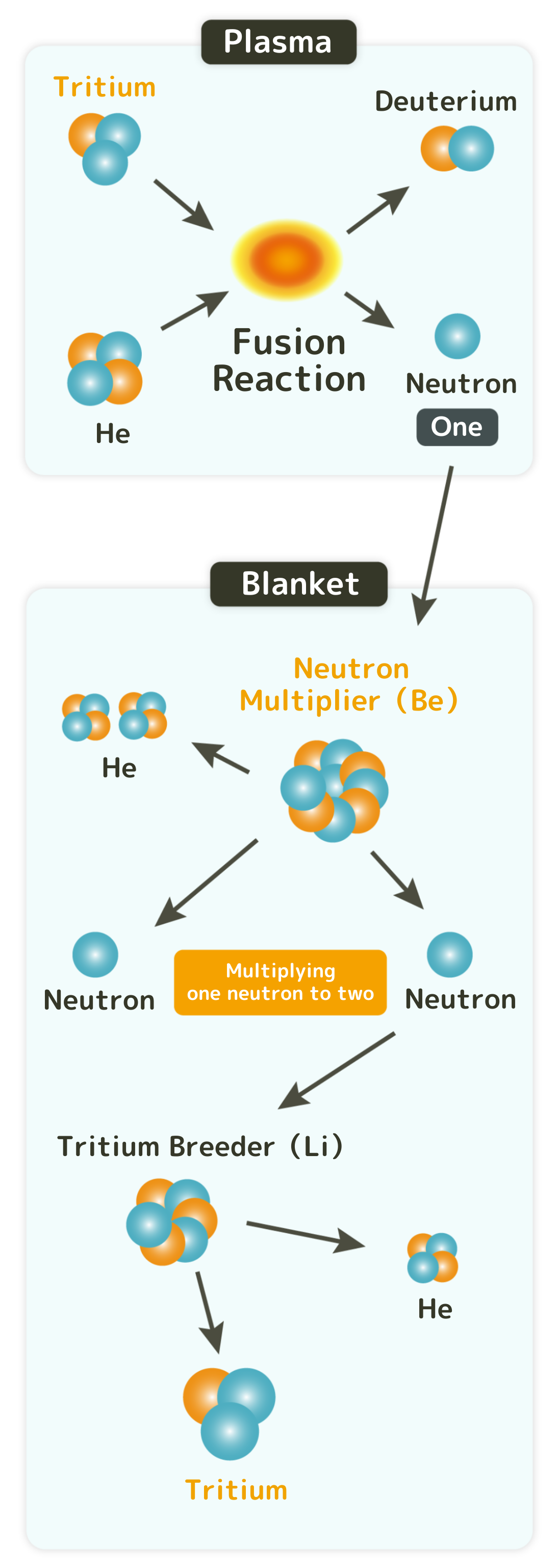 Fusion reactions are caused by ultrafast collisions of deuterium and tritium in plasma. However, tritium is rarely found naturally thus it have to be self-generated in the blanket.<br />
This requires beryllium (neutron multiplier), which doubles the number of neutrons to two.