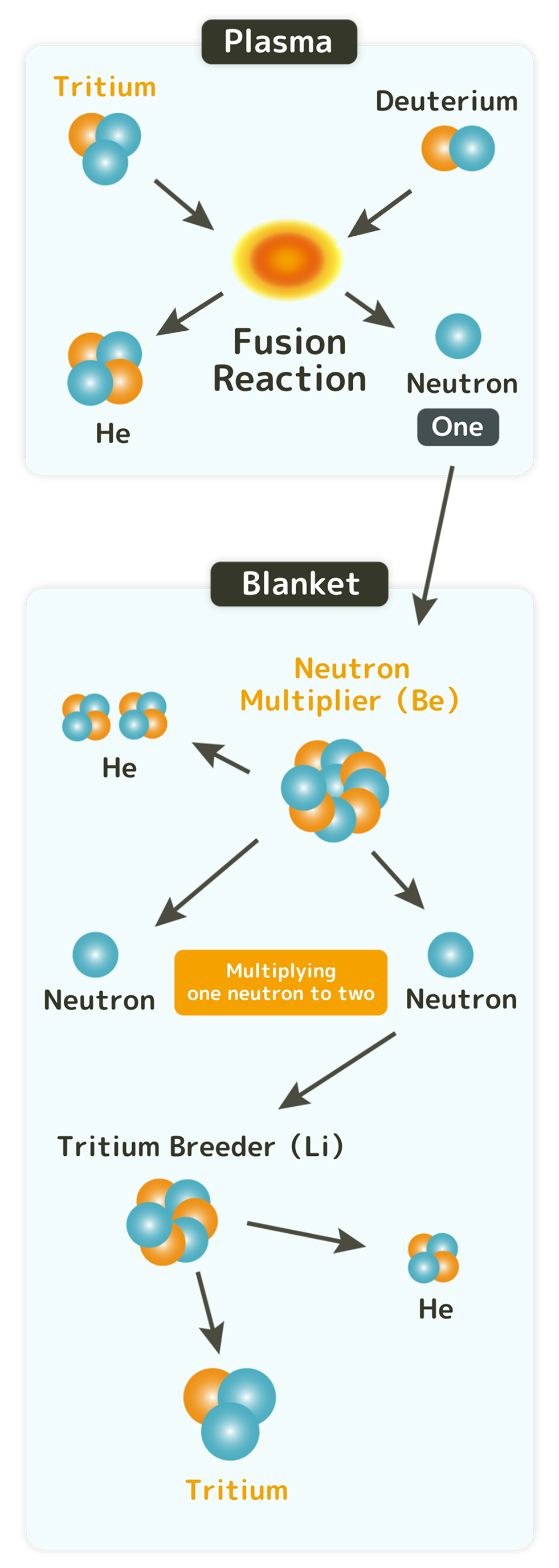 Nuclear-fusion-sp-25-6-22-en Fusion reactions are caused by ultrafast collisions of deuterium and tritium in plasma. However, tritium is rarely found naturally thus it have to be self-generated in the blanket. This requires beryllium (neutron multiplier), which doubles the number of neutrons to two.